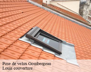 Pose de velux gombergean-41310 Louis couverture