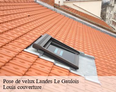 Pose de velux  landes-le-gaulois-41190 Louis couverture