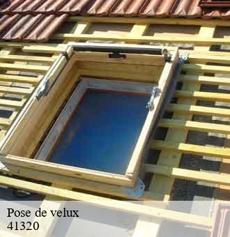 Pose de velux  mennetou-sur-cher-41320 Louis couverture
