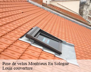 Pose de velux  montrieux-en-sologne-41210 Louis couverture