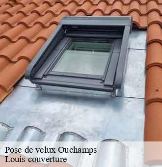 Pose de velux  ouchamps-41120 Louis couverture