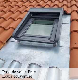 Pose de velux pray-41190 Louis couverture