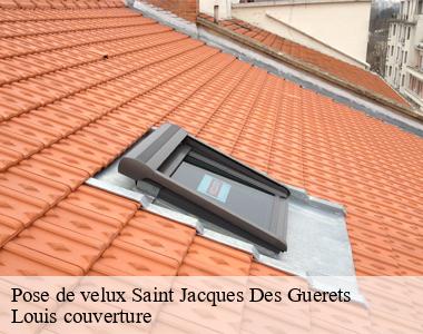 Pose de velux  saint-jacques-des-guerets-41800 Louis couverture