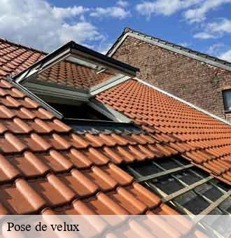 Pose de velux  saint-loup-41320 Louis couverture