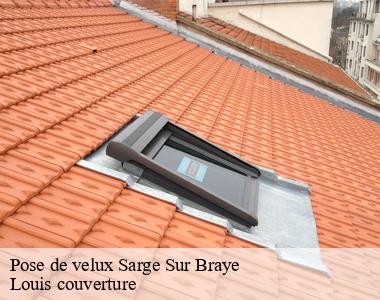 Pose de velux sarge-sur-braye-41170 Louis couverture