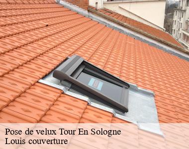 Pose de velux tour-en-sologne-41250 Louis couverture