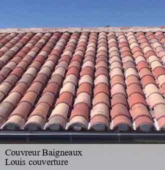 Couvreur  baigneaux-41290 Louis couverture