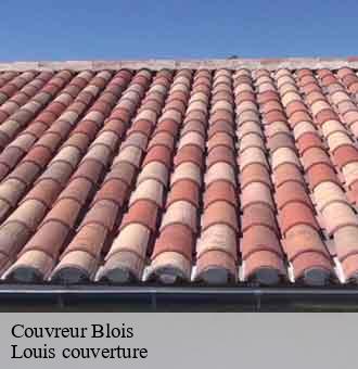 Couvreur  blois-41000 Louis couverture