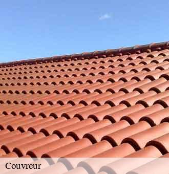 Couvreur la-ferte-saint-cyr-41220 Louis couverture
