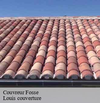Couvreur  fosse-41330 Louis couverture