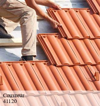Couvreur pas cher à Monthou Sur Bievre 41120