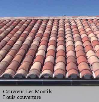 Couvreur  les-montils-41120 Louis couverture