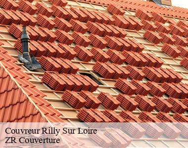 Quel couvreur faut-il contacter pour les travaux à effectuer sur une toiture à Rilly Sur Loire ?