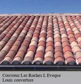 Couvreur les-roches-l-eveque-41800 Louis couverture