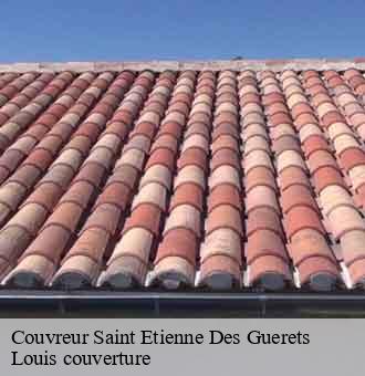 Couvreur saint-etienne-des-guerets-41190 Louis couverture