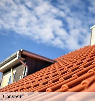 Quel couvreur faut-il contacter pour les travaux à effectuer sur une toiture à Briou ?
