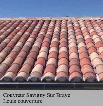 Couvreur  savigny-sur-braye-41360 Louis couverture