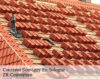 Quel couvreur faut-il contacter pour les travaux à effectuer sur une toiture à Souvigny En Sologne ?