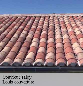 Couvreur  talcy-41370 Louis couverture