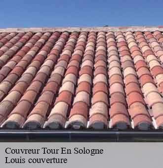 Couvreur  tour-en-sologne-41250 Louis couverture