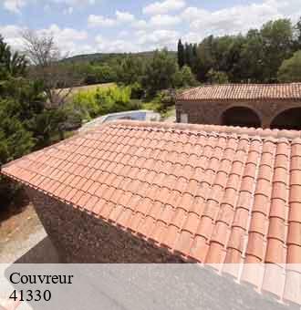Couvreur  villefrancoeur-41330 Louis couverture