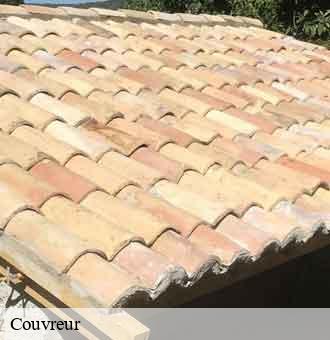 Couvreur  villeporcher-41310 Louis couverture