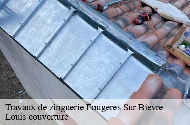 Travaux de zinguerie  fougeres-sur-bievre-41120 Louis couverture
