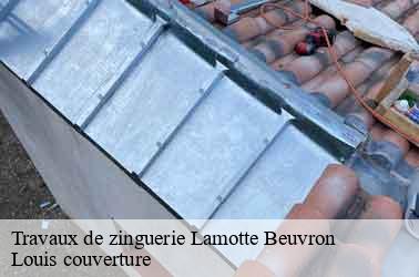Travaux de zinguerie  lamotte-beuvron-41600 Louis couverture