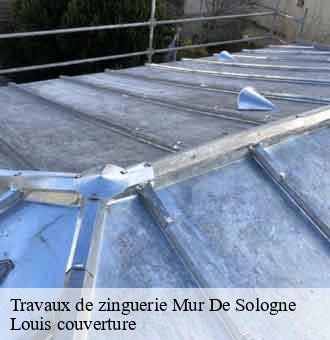 Travaux de zinguerie  mur-de-sologne-41230 Louis couverture