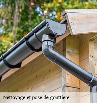 Entreprise de nettoyage et pose de gouttière siégée à Boisseau