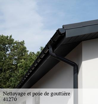 Nettoyage et pose de gouttière  la-fontenelle-41270 Louis couverture
