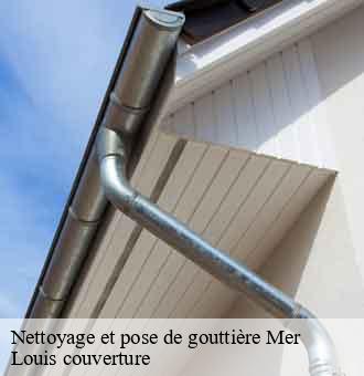 Nettoyage et pose de gouttière mer-41500 Louis couverture