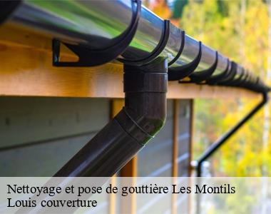 Nettoyage et pose de gouttière  les-montils-41120 Louis couverture