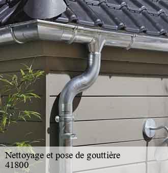 Nettoyage et pose de gouttière  montrouveau-41800 Louis couverture