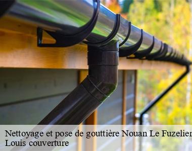 Nettoyage et pose de gouttière  nouan-le-fuzelier-41600 Louis couverture