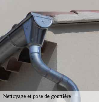Nettoyage et pose de gouttière  ouchamps-41120 Louis couverture