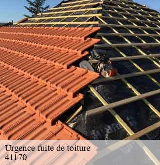 Urgence fuite de toiture  arville-41170 Louis couverture