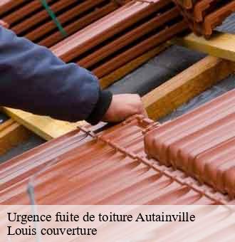 Urgence fuite de toiture  autainville-41240 Louis couverture