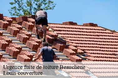 Urgence fuite de toiture beauchene-41170 Louis couverture