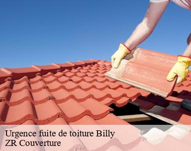 Entreprise de remise en état de toiture perméable trouvable à Billy 41130