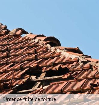 Cas de fuite de toiture : Artisan Mecquesse propose le bâchage avant de procéder aux réparations proprement dites