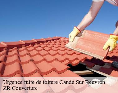 Entreprise de remise en état de toiture perméable trouvable à Cande Sur Beuvron 41120