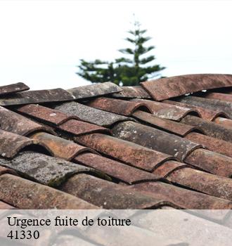 Entreprise de remise en état de toiture perméable trouvable à La Chapelle Vendomoise 41330