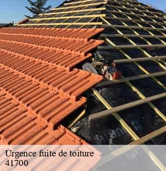 Urgence fuite de toiture contres-41700 Louis couverture