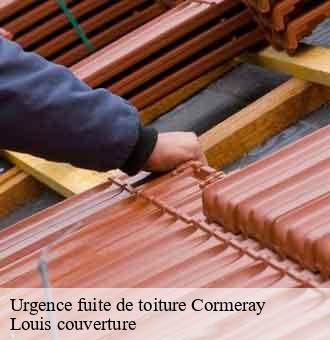 Urgence fuite de toiture  cormeray-41120 Louis couverture