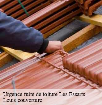 Urgence fuite de toiture  les-essarts-41800 Louis couverture