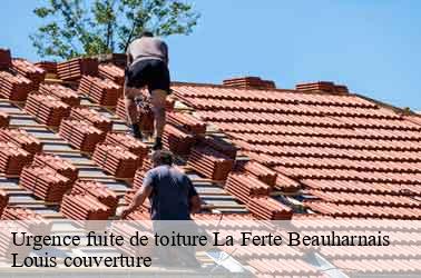 Urgence fuite de toiture  la-ferte-beauharnais-41210 Louis couverture
