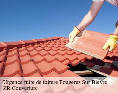 Entreprise de remise en état de toiture perméable trouvable à Fougeres Sur Bievre 41120