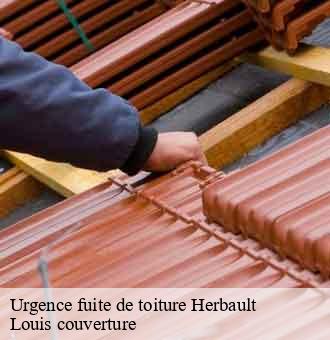Urgence fuite de toiture  herbault-41190 Louis couverture