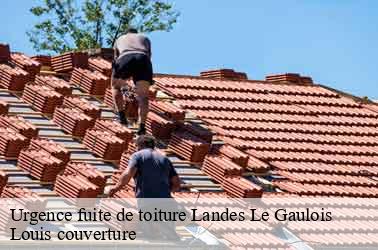Urgence fuite de toiture  landes-le-gaulois-41190 Louis couverture